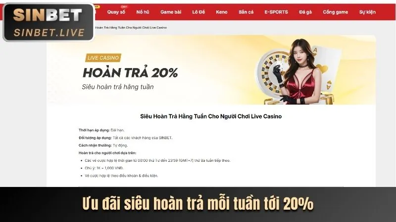 Ưu đãi độc quyền dành cho thành viên